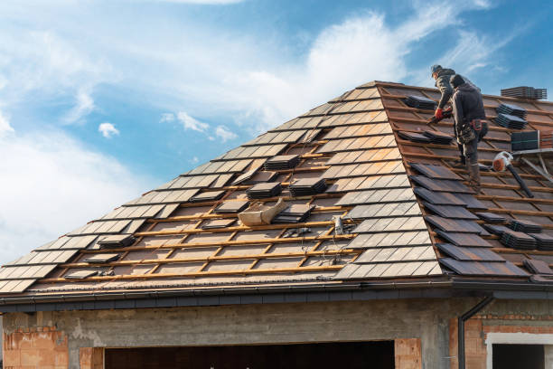 Fast & Reliable Emergency Roof Repairs in Newport, TN